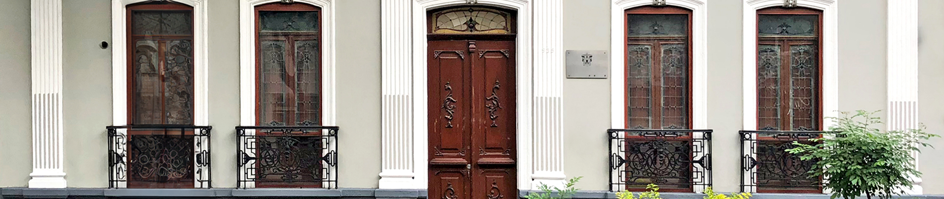 SiUBiUDG
